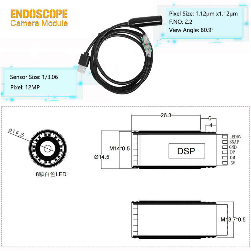 Diameter 4mm Camera Module Auto Focus Endoscope Camera