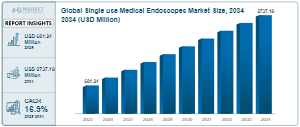 Disposable Endoscope Market Boom: AI and Miniaturization Reshaping the Medical Endoscopy Industry