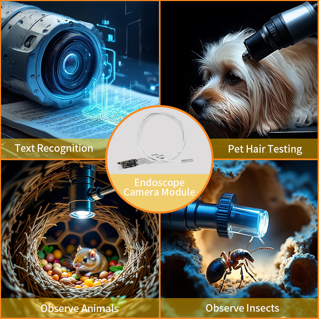 Wide Angle 720P HD OV9734 CMOS Separated Type-C Endoscope Camera Module