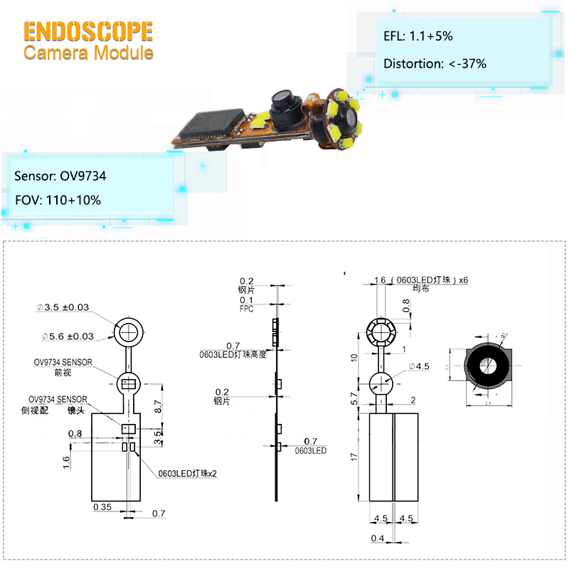720P Type-C Endoscopic Dual Camera Module with LEDs