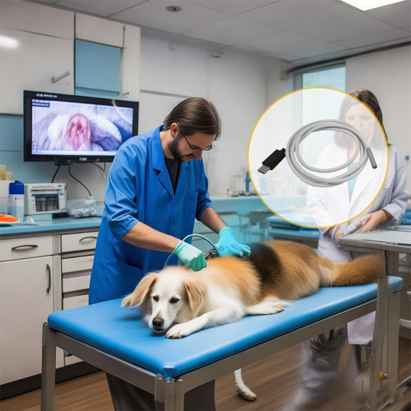 Can Metal Dust in The Welding Workshop Clog The Endoscope Camera Module Lens? 