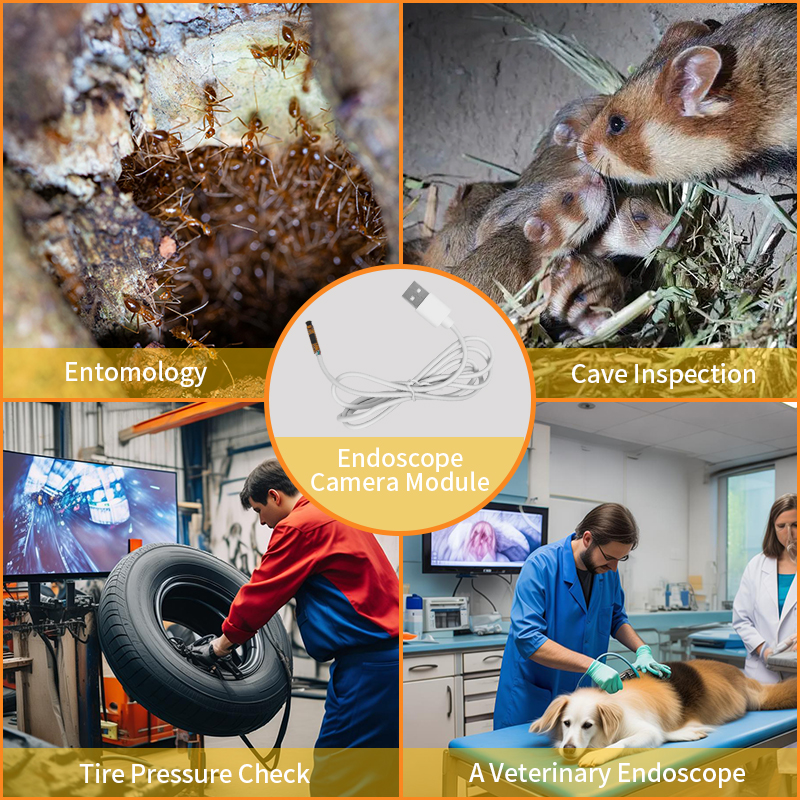 SF-USB4.5-720 V1 (1)